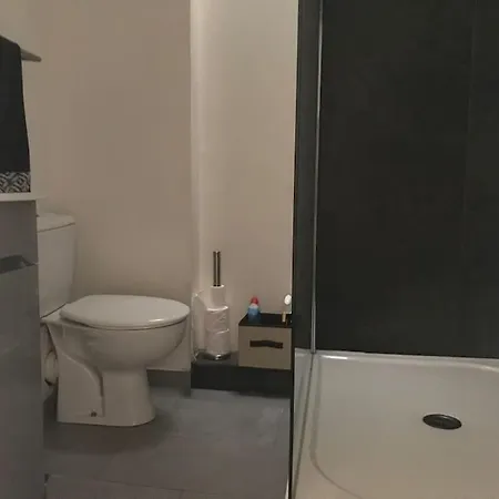 Apartment Avec Terrasse Centre De La Bastide