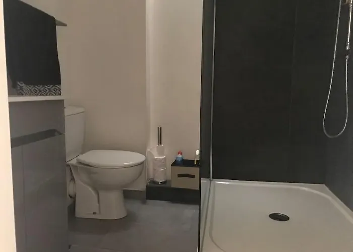 Apartment Avec Terrasse Centre De La Bastide